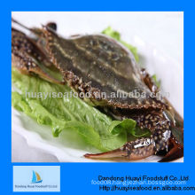 frozen blue swimming crab iqf crab